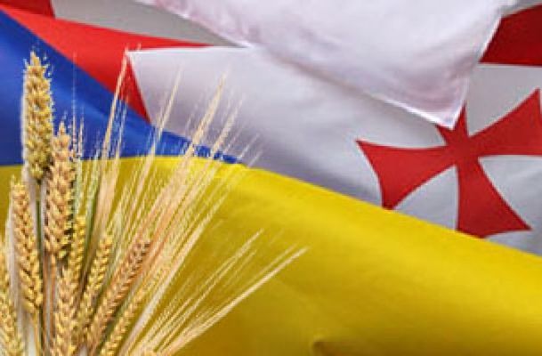 Грузия поможет Украине с транспортировкой зерна