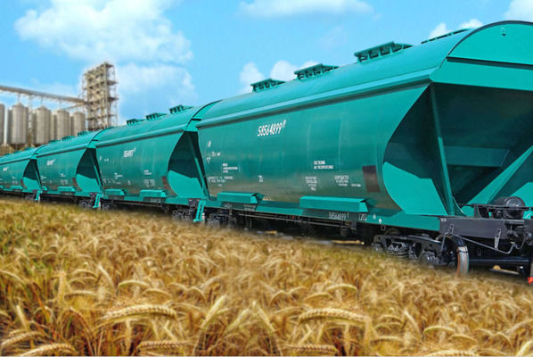 В январе-июне железнодорожные перевозки зерна в Украине возросли на 40%