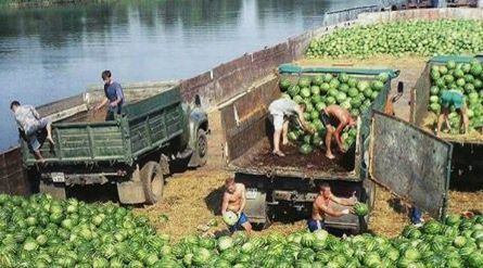 НИБУЛОН и фермер из Херсонской области договорились о перевозках арбузов на баржах
