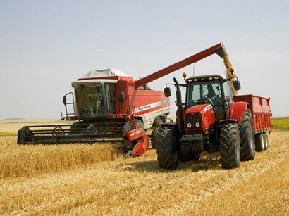 Урожайность зерновых в Прикарпатье побила прошлогодний рекорд