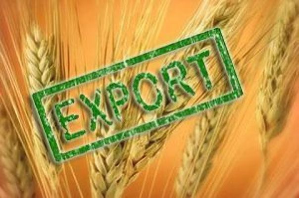 Україна експортувала 1,8 млн тонн зерна