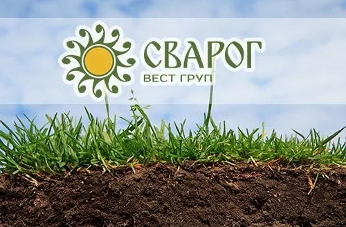 На полях «Сварог Вест Груп» відбувається цілодобовий збір ранніх зернових