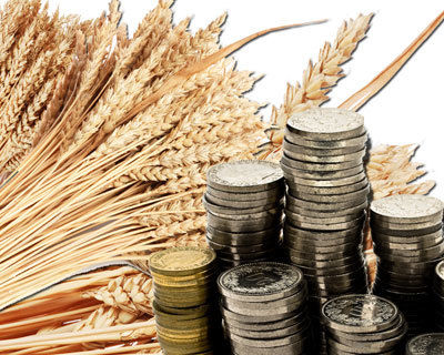 Украинские производители обеспокоены снижением цен на зерновые