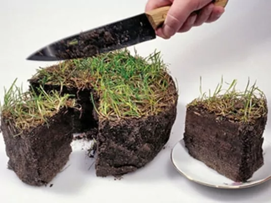 Юрособам можуть дозволити купувати до 1 тис. га при запуску ринку землі