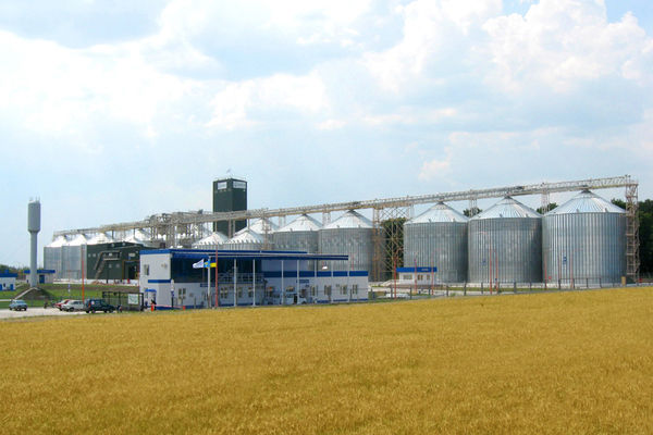 Новый терминал под Вознесенском принял уже 2 тыс. т зерна