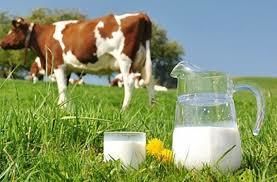 Експорт молочних продуктів з України зріс на 93,9%