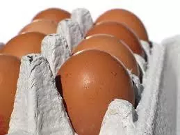 В январе-июле 2017 г. Украина экспортировала яиц на 40 млн долл.