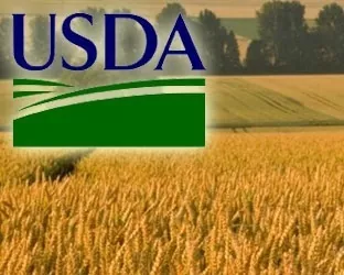 USDA повысило прогноз урожая пшеницы в Украине в 2017 году почти на 4 млн. тонн