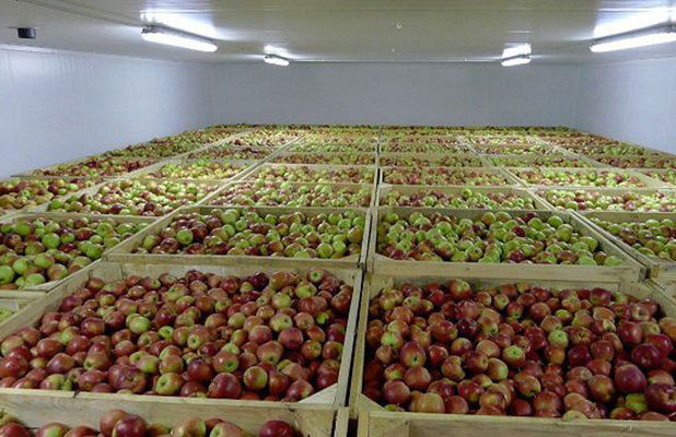Мартынюк: Садоводам выделят 100 млн грн компенсации за фруктохранилища