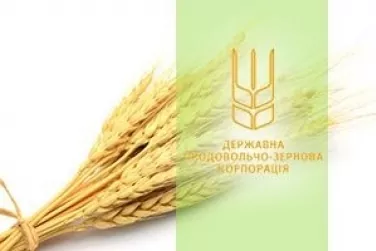  ДПЗКУ надає пріоритет дрібним та середнім сільгоспвиробникам при закупівлі зерна