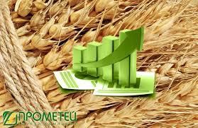 Прометей за 2016/17 МГ экспортировал 520 тыс. т зерновых и масличных