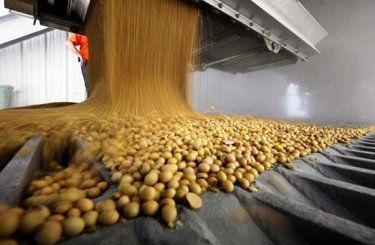 Активный экспорт сдерживает прирост внутренней переработки соевых бобов