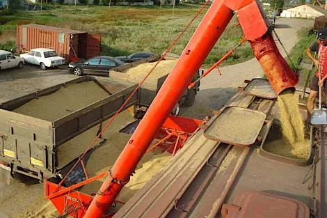 Укрзализныця ввела 5 ограничений на отправку зерновых в портовые терминалы