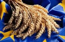 ЕС: прогноз урожая мягкой пшеницы в т.г. повышен на 0,8 млн. тонн