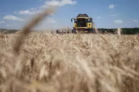 Украинские аграрии намолотили почти 38 млн т зерновых