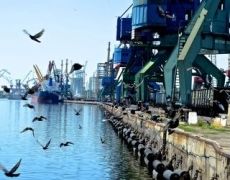 Україна з наступного року зменшить портові збори на 20%