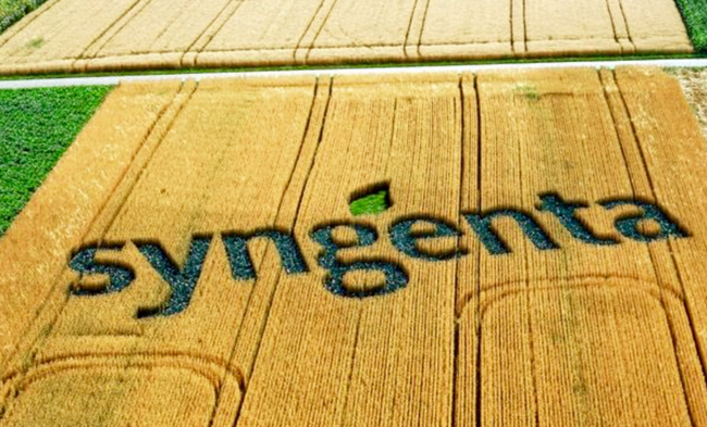 Syngenta інвестує близько $1 млн у розвиток агрохімічної дослідницької станції на Київщині