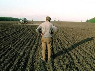 Украинским фермерам могут выделить еще 1 миллиард гривень поддержки