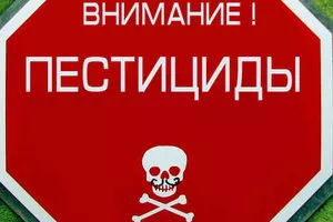 Будущее сельского хозяйства, или роль пестицидов в развитии сельской индустрии