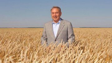 Более 16 млн тонн зерна намолочено в Казахстане на 18 сентября