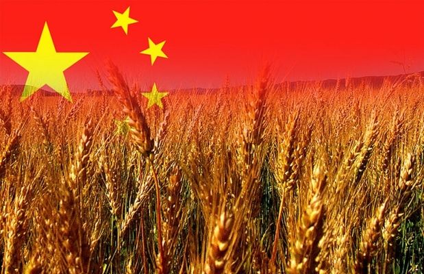 В октябре доля Китая в мировом импорте сои снизилась почти на 30%