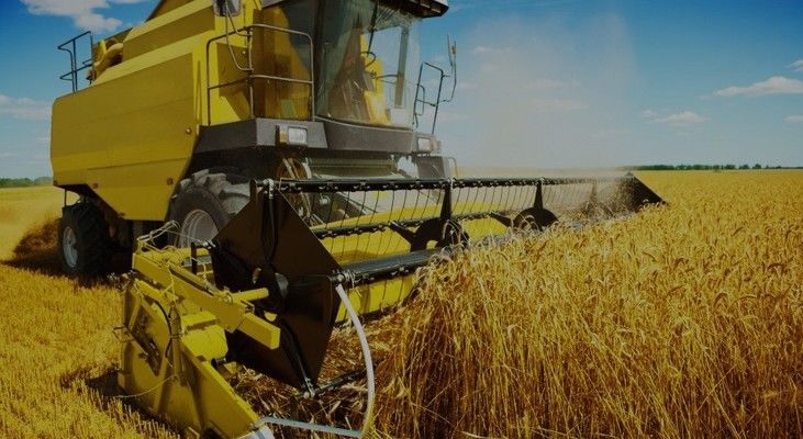 Аграрии Винницкой области собрали 5,2 млн тонн зерна