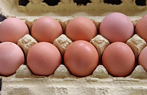 Украина открыла путь в Сербию для яиц и яичных продуктов