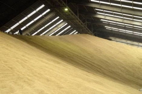 ГПЗКУ с начала сезона приняла 1 млн. тонн зерна нового урожая