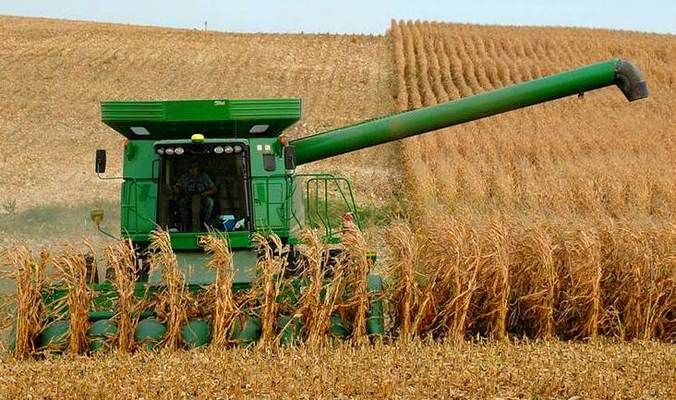 Погодные условия способствуют уборке кукурузы в Ивано-Франковской области
