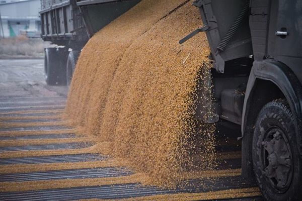 Украина с начала 2017/18 МГ экспортировала 9,7 млн т зерновых