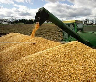 Мировое производство пшеницы в 2017/18 МГ увеличится до 748 млн т