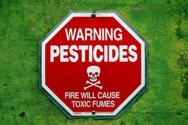 В Украину намерены ввозить пестициды и агрохимикаты без регистрации