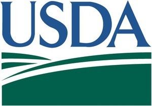 USDA: несподіванки для ринку кукурудзи