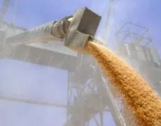 «НІБУЛОН» продав Йорданії 50 тис. тонн пшениці
