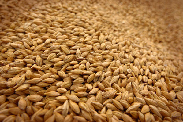 Иордания закупила пшеницу