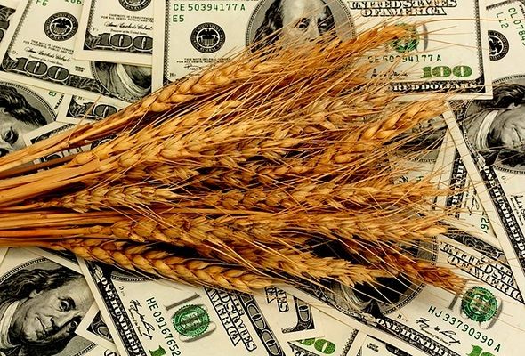 Снижение мировых цен на зерно. Причины