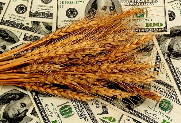 Снижение мировых цен на зерно. Причины