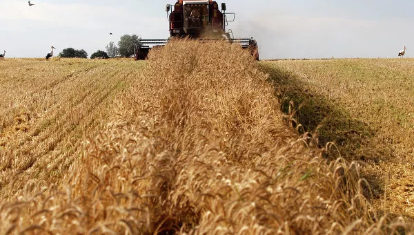 Украина: «Мрия» завершила уборку ранних зерновых