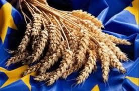 Франция повысила прогноз экспорта мягкой пшеницы в сезоне 2017/18