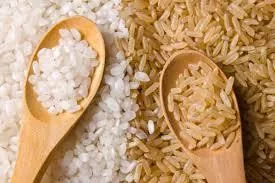 Найбільший одеський виробник рису збільшить площі під ним до 2 тис. га