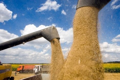 Минагропрод и экспортеры согласовали объемы экспорта пшеницы