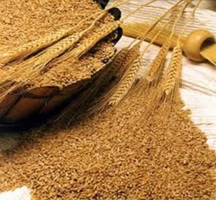 Цены на пшеницу в мире упали до десятилетнего минимума