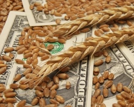 Ирак закупил на тендере пшеницу США