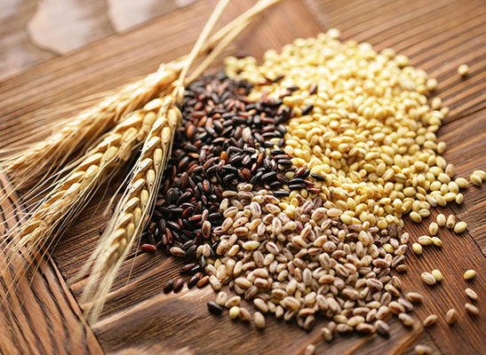 В Украине озимыми зерновыми засеяно 6,4 млн га