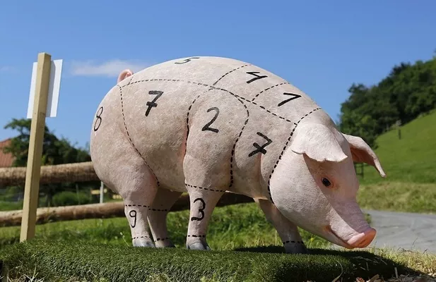 Россия запретила ввоз мяса и свиней из Украины