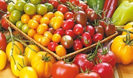 Пропозиція помідорів на українському ринку дуже обмежена