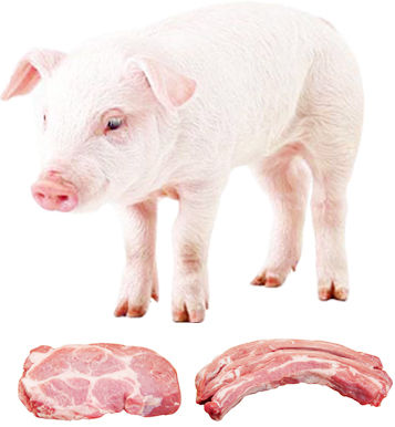 Украина за январь-сентябрь произвела 193 тыс. т свинины