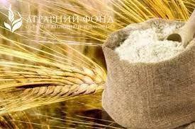 "Аграрный фонд" в январе-сентябре реализовал больше 300 тыс. тонн зерна