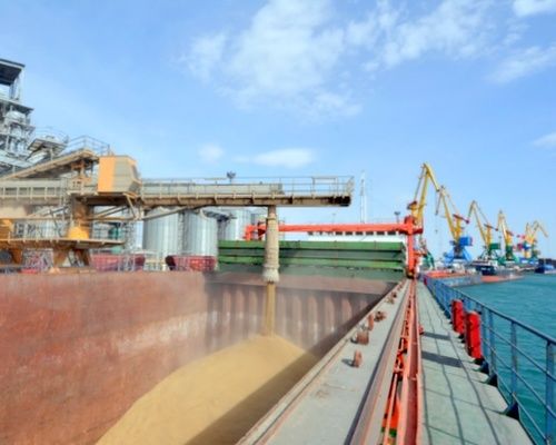 Порты Украины на прошлой неделе снизили отгрузки зерновых почти на 30%