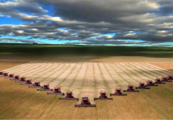 В 2017 году Россия соберет 82 млн. тонн пшеницы в чистом весе - Ткачев